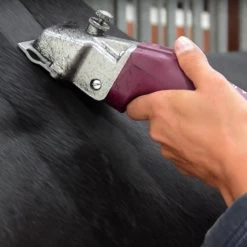 Aesculap 2 Akku »Econom CL Equipe GT 856« Pferdeschermaschine -Viehbedarf Angebote aesculap econom cl equipe gt 856 2 akku pferdeschermaschine8