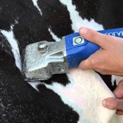 Aesculap »Econom CL GT 804« 1 Akku Schermaschine Rind -Viehbedarf Angebote aesculap econom cl gt 804 schermaschine fuer rind 1 akku8