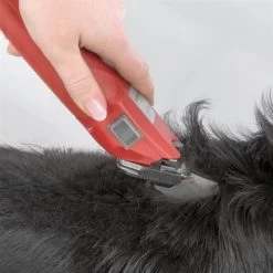 Aesculap »Favorita Speed GT 114« Schermaschine -Viehbedarf Angebote aesculap favorita speed gt 114 profi schermaschine5