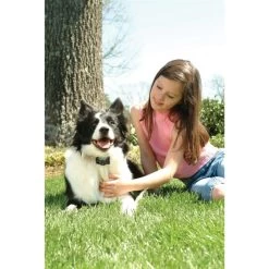 Anti Bell Halsband »Classic« PetSafe Elektrohalsband · Ab 3,6kg -Viehbedarf Angebote anti bell halsband petsafe elektrohalsband ab 36kg3