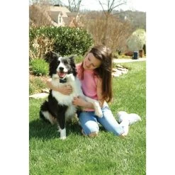 Anti Bell Halsband »Classic« PetSafe Elektrohalsband · Ab 3,6kg -Viehbedarf Angebote anti bell halsband petsafe elektrohalsband ab 36kg4