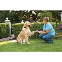 PetSafe Antibell Halsband »Big Dog« Antibellhalsband · Ab 18kg -Viehbedarf Angebote antibell halsband big dog antibellhalsband ab 18kg5