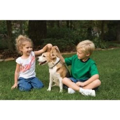 Antibell Halsband »Deluxe« PetSafe Elektrohalsband · Bis 18kg -Viehbedarf Angebote antibell halsband deluxe petsafe elektrohalsband bis 18kg3