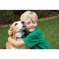 Antibell Halsband »Deluxe« PetSafe Elektrohalsband · Bis 18kg -Viehbedarf Angebote antibell halsband deluxe petsafe elektrohalsband bis 18kg4