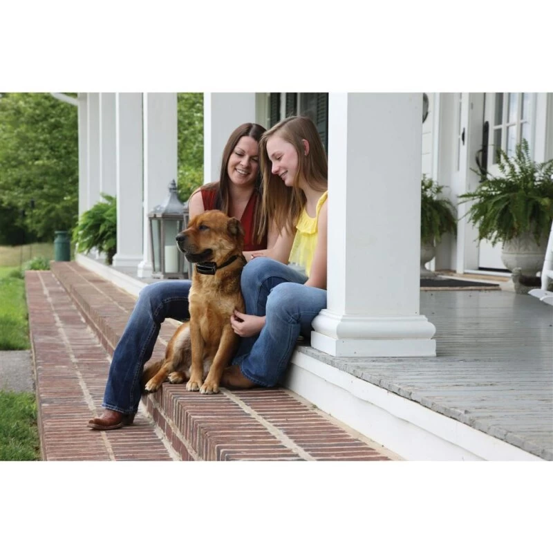 PetSafe Antibellhalsbänder »Deluxe« PS Erziehungshalsband · Akku, Ab 18kg 3 PetSafe Antibellhalsbänder »Deluxe« PS Erziehungshalsband · Akku, Ab 18kg – Bild 3