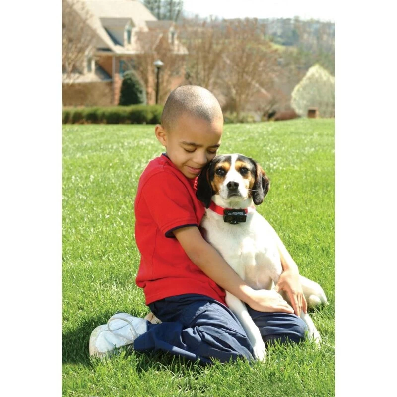 Antibellhalsband »Basic« PetSafe Stromhalsband · Ab 3,6kg 3 Antibellhalsband »Basic« PetSafe Stromhalsband · Ab 3,6kg – Bild 3