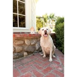 PetSafe Bell Stop Gerät »Deluxe« Hundegebell Stoppen, Außen · 15m -Viehbedarf Angebote bell stop geraet deluxe hundegebell stoppen aussen 15m5