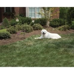 PetSafe Bellkontrolle Gerät »Classic« Gebell Stoppen, Außen · Bis 15m -Viehbedarf Angebote bellkontrolle geraet petsafe gebell stoppen 15m3