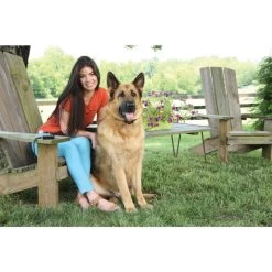 Fern Trainer »Basic« PetSafe Hundeerziehung · 70m, Ab 3,6kg -Viehbedarf Angebote fern trainer basic petsafe hundeerziehung 70m ab 36kg4