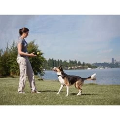 Fern Trainer »Plus« Zusatz Erziehungs Halsband PetSafe · 350m -Viehbedarf Angebote fern trainer plus zusatz erziehungs halsband petsafe 350m3