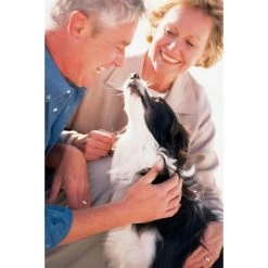 Ferntrainer »Basic« PetSafe Ultraschall Hundeerziehung · 9m -Viehbedarf Angebote ferntrainer basic petsafe ultraschall hundeerziehung 9m4