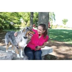 Ferntrainer »Basic« PetSafe Vibrationshalsband · 100m -Viehbedarf Angebote ferntrainer basic petsafe vibrationshalsband 100m4