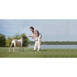 Ferntrainer »Deluxe« Zusatz Erziehungshalsbänder PetSafe · 900m -Viehbedarf Angebote ferntrainer deluxe zusatz erziehungshalsbaender petsafe 900m3