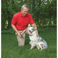 PetSafe Ferntrainer »Classic« PS Erziehungshalsbänder · 250m, Ab 3,6kg -Viehbedarf Angebote ferntrainer ps erziehungshalsbaender 250m ab 36kg4