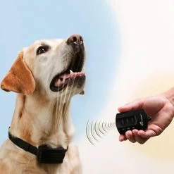 Ferntrainer »Spray Commander« PetSafe Sprayhalsband · 85m -Viehbedarf Angebote ferntrainer spray commander petsafe sprayhalsband 85m4