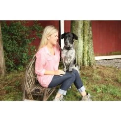 Ferntrainer »Spray Commander« PetSafe Sprayhalsband · 85m -Viehbedarf Angebote ferntrainer spray commander petsafe sprayhalsband 85m5