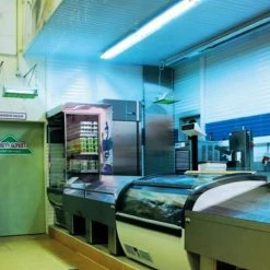 Fliegenfalle »Flytrap FT 40« Insektenfalle Für Hygienestandard -Viehbedarf Angebote fliegenfalle flytrap ft 40 insektenfalle fuer hygienestandard5