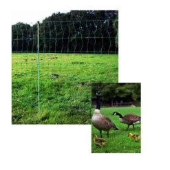 Geflügelzaun »Euronetz« KEIN Elektrozaun · 50m 2 Spitzen, 112cm -Viehbedarf Angebote gefluegelzaun euronetz kein elektrozaun 50m 2 spitzen 112cm6