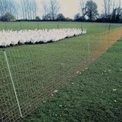 Geflügelzaun »Euronetz« Laufenten Zaun · 25m 2 Spitzen, 112cm -Viehbedarf Angebote gefluegelzaun euronetz laufenten zaun 25m 2 spitze 112cm7