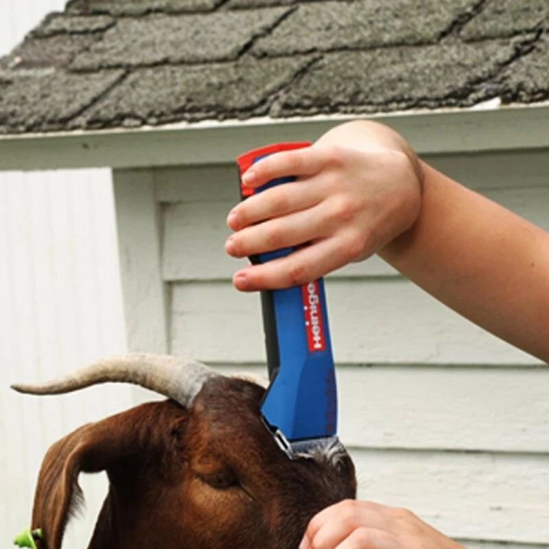 Heiniger »Saphir« 2 Akku Schermaschine Kleintierschermaschine 7 Heiniger »Saphir« 2 Akku Schermaschine Kleintierschermaschine – Bild 7