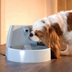 Katzenbrunnen »DrinkWell« Trinkbrunnen · 1,5l -Viehbedarf Angebote katzenbrunnen drinkwell trinkbrunnen 15l4