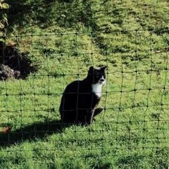 Katzengehege Katzennetz »Euronetz« 25m 1 Spitze, 75cm -Viehbedarf Angebote katzengehege katzennetz euronetz 25m 1 spitze 75cm6