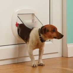 PetSafe Katzenklappe »Staywell« Haustiertür · Ø263mm, Weiß -Viehbedarf Angebote katzenklappe staywell haustiertuer durchmesser 263mm3