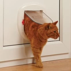 PetSafe Katzenklappe »Staywell« Haustiertür · Ø263mm, Weiß -Viehbedarf Angebote katzenklappe staywell haustiertuer durchmesser 263mm4