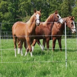 Pferdenetz »Euronetz« Weidenetze · 30m 2 Spitzen, 120cm -Viehbedarf Angebote pferdenetz euronetz weidenetze 30m 2 spitzen 120cm4