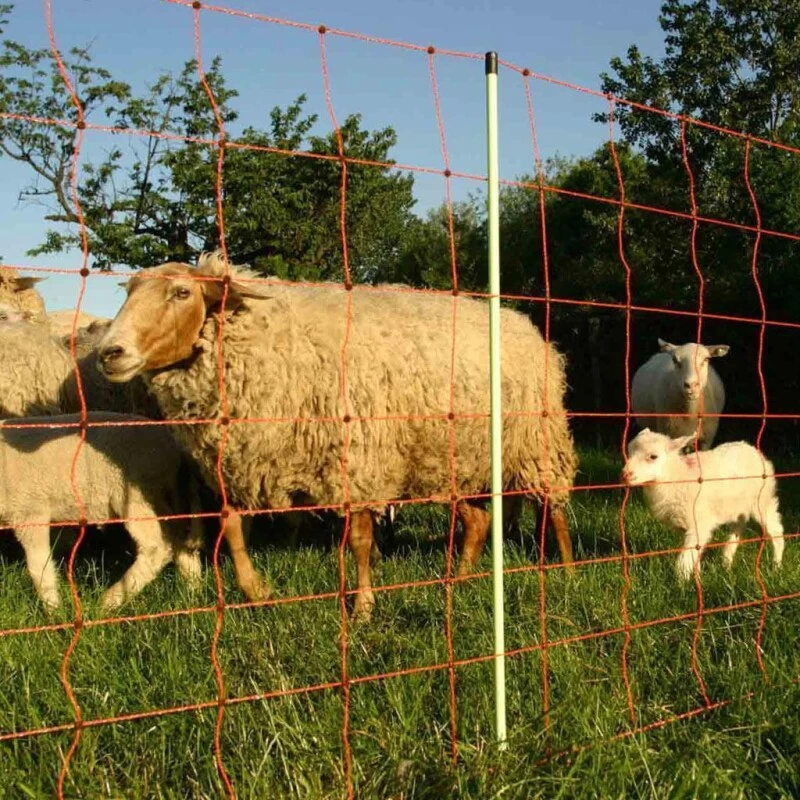 Schafnetz »Euronetz« Elektronetz · 50m 2 Spitzen, 90cm 4 Schafnetz »Euronetz« Elektronetz · 50m 2 Spitzen, 90cm – Bild 4