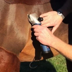 Heiniger »XPLORER« 2 Akku Schermaschine Für Pferde -Viehbedarf Angebote schermaschine pferd heiniger xplorer 2 akku7