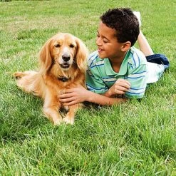 PetSafe Unsichtbarer Hundezaun »Deluxe« Erweiterbar Auf 10ha · Ab 2,3kg -Viehbedarf Angebote unsichtbarer hundezaun deluxe erweiterbar auf 10ha ab 23kg5