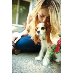 PetSafe Unsichtbarer Hundezaun »Deluxe« Erweiterbar Auf 10ha · Ab 3,6kg -Viehbedarf Angebote unsichtbarer hundezaun deluxe erweiterbar auf 10ha ab 36kg3