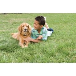 PetSafe Unsichtbarer Hundezaun »Classic« Erweiterbar Auf 4ha · Bis 18kg -Viehbedarf Angebote unsichtbarer hundezaun erweiterbar auf 4ha bis 18kg3