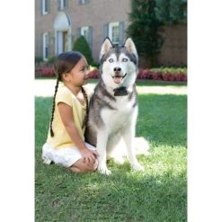 PetSafe Unsichtbarer Hundezaun »Super« Erweiterbar Auf 4ha · Ab 18kg -Viehbedarf Angebote unsichtbarer hundezaun super erweiterbar auf 4ha ab 18kg4