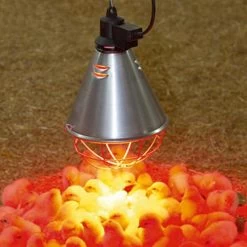 Stalllampe »Classic« Für Infrarotbirne, Infrarotstrahler · 2,5m -5m -Viehbedarf Angebote waermelampe stalllampe infrarotbirne infrarotstrahler 25m 5m3