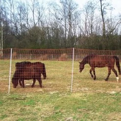 Pferdenetz »Euronetz« Weidenetz · 25m 2 Spitzen, 170cm -Viehbedarf Angebote weidenetze euronetz pferdenetz 25m 2 spitzen 170cm4