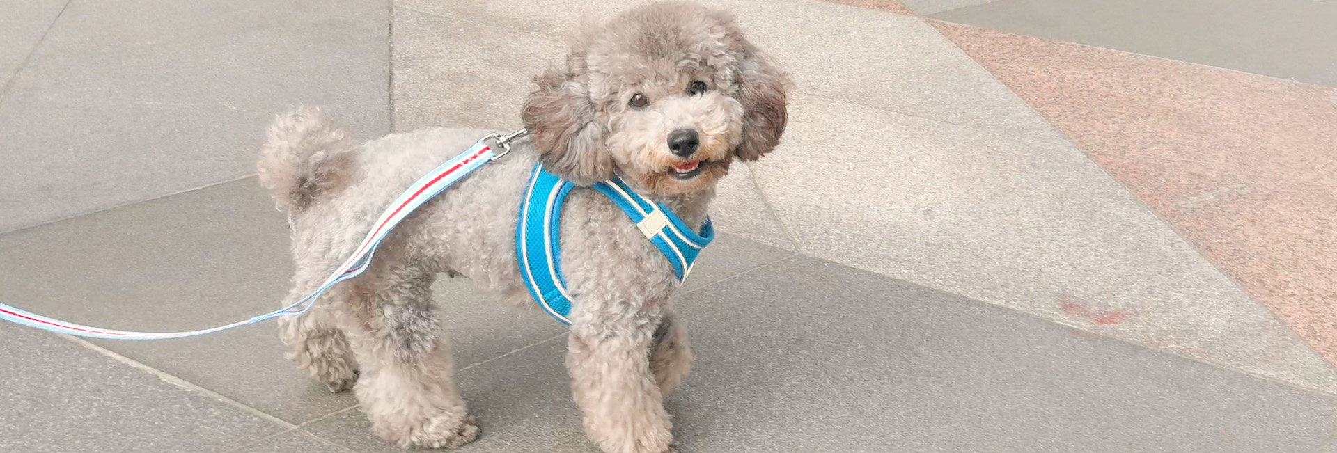 Viehbedarf Angebote 2 Viehbedarf Angebote -Viehbedarf Angebote 3 1